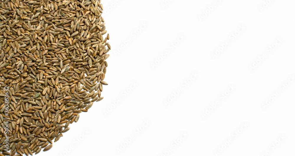 Grains of wheat, barley, rye, oats on white background close-up, natural dry grain in form of even semicircle or sun on left side, seeds, isolated, top view. Free space for text. Banner for web site Grains of wheat, barley, rye, oats on white background close-up, natural dry grain in form of even semicircle or sun on left side, seeds, isolated, top view. Free space for text. Banner for web site