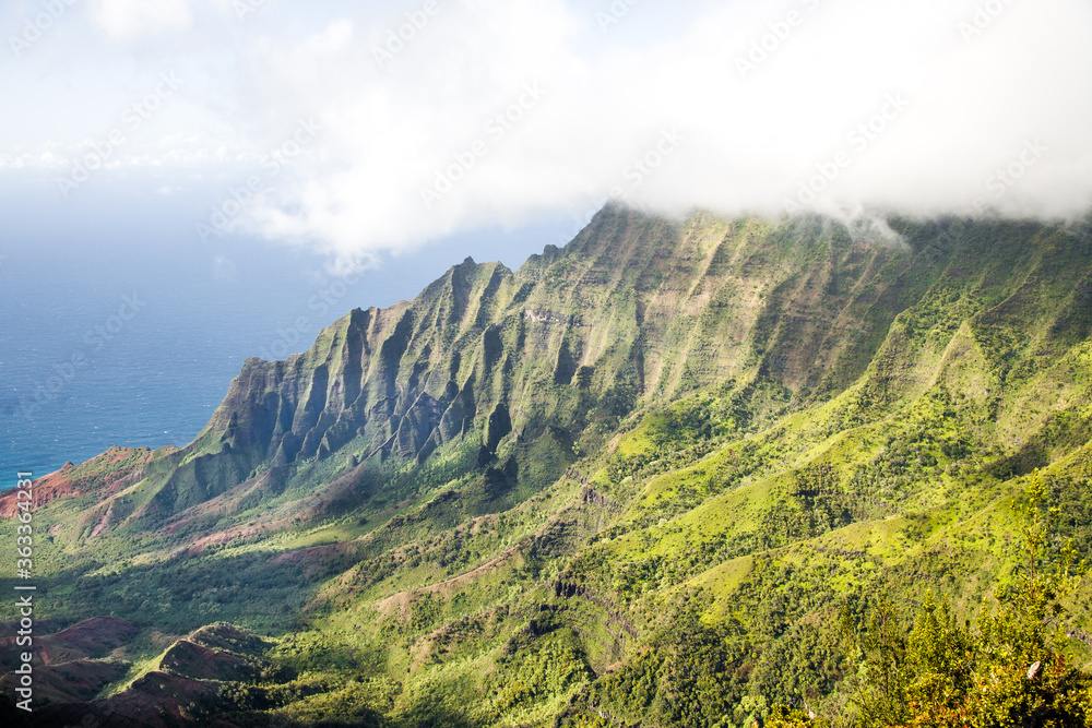 Kalalau Lookout, Waimea Canyon road, Kauai, Hawaii, Na Pali headlands, fog, mist