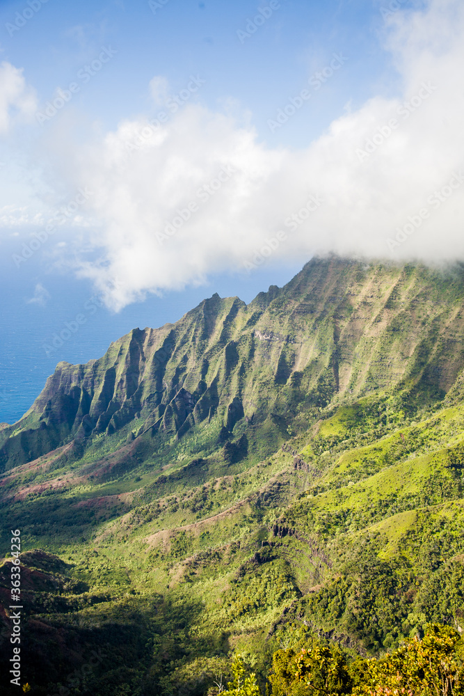 Obraz premium View of Na Pali headlands from the Kalalau Lookout, at the end of the Waimea Canyon road, Kauai, Hawaii.