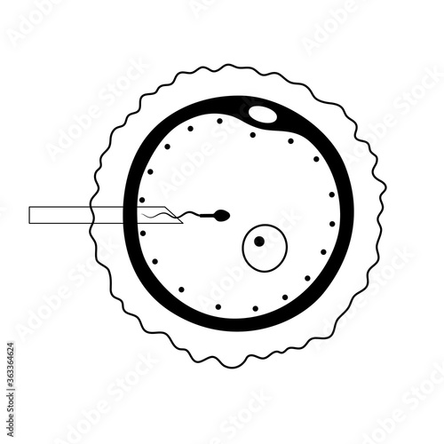 Reproductive system concept