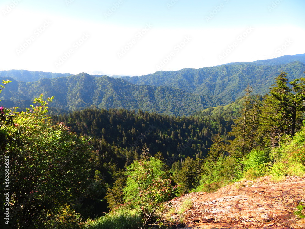 Fototapeta premium Mountain Overlook