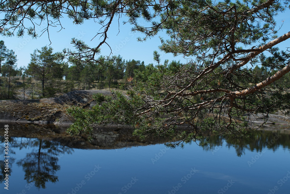 Ladoga lake- visit the national Park Ladoga lake- visit the national Park