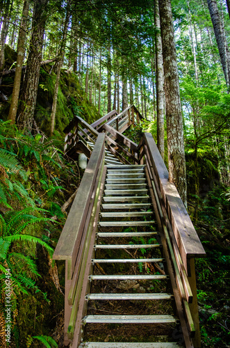 Up the stairs Leading ever upward, a 1km upward trail at Horne Lake Caves