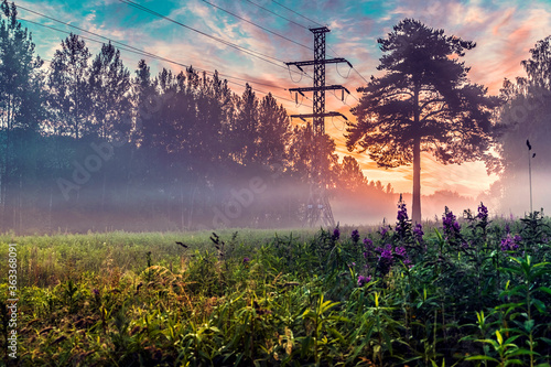 Bright sunrise in colorful foggy forest with tree and power line
