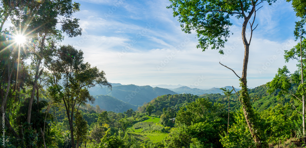 Panoramic view of green forest in the morning, Ella, Sri Lanka. Sunstar in the blue sky