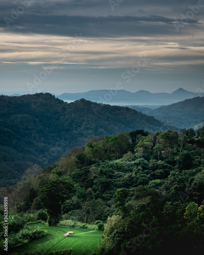 Sri Lanka landscapes nature background. Ella, Sri Lanka. Mountain landscape in the morning with cloudy sky © mathilde