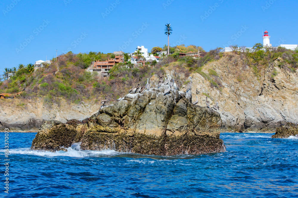 Pelicans resting on a rock in the middle of the Oaxaca Sea, birds standing on a rock formation. Pelicans resting on a rock in the middle of the Oaxaca Sea, birds standing on a rock formation.