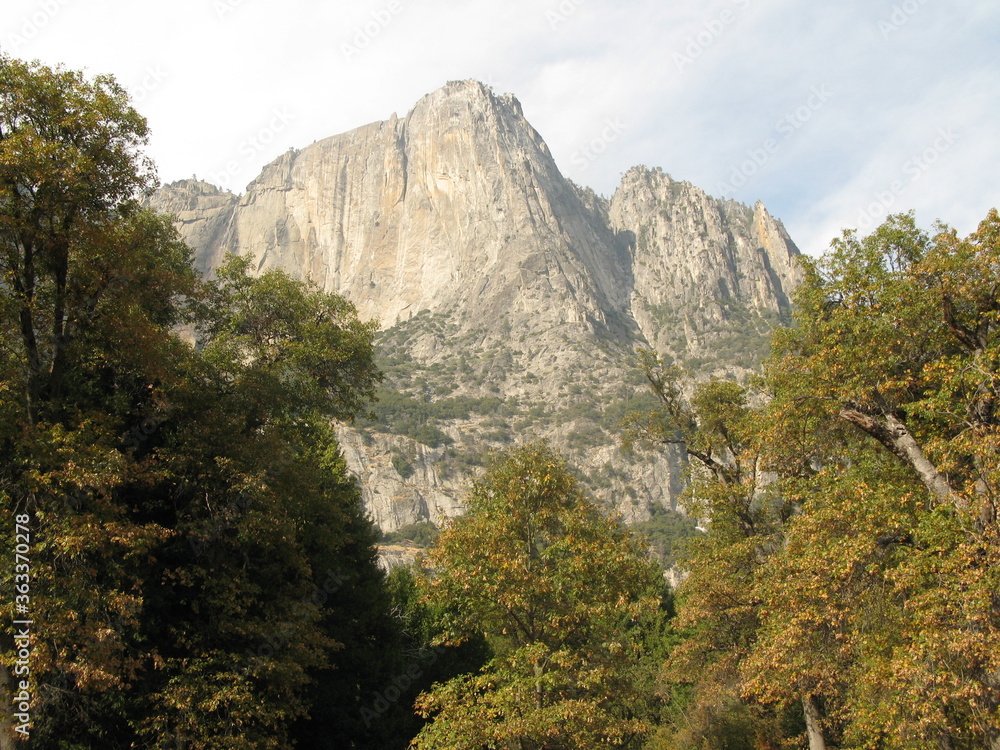 Granite mountain surrounded by trees in autumn, Yosemite National Park, California, USA