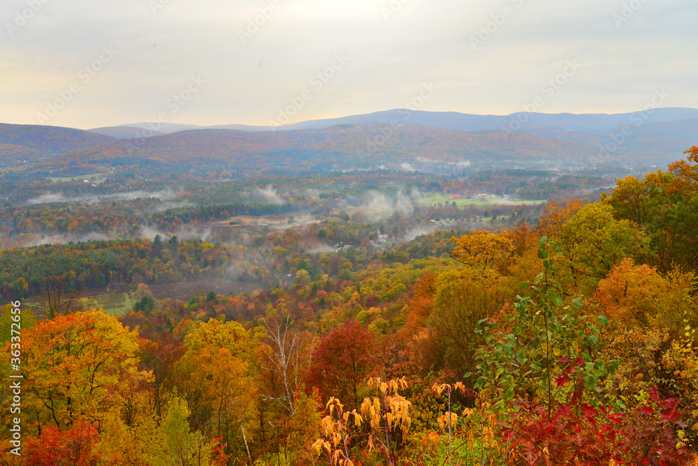 The beautiful and wooded countryside around Veterans War Memorial Tower. The beautiful and wooded countryside around Veterans War Memorial Tower.