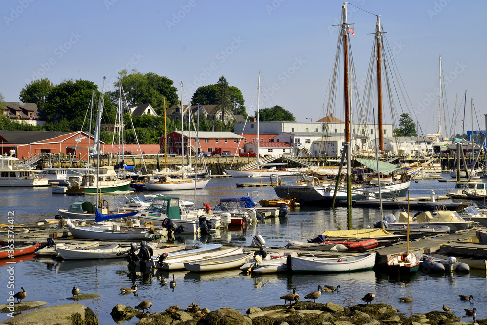 The beautiful and busy marina in Camden Maine.