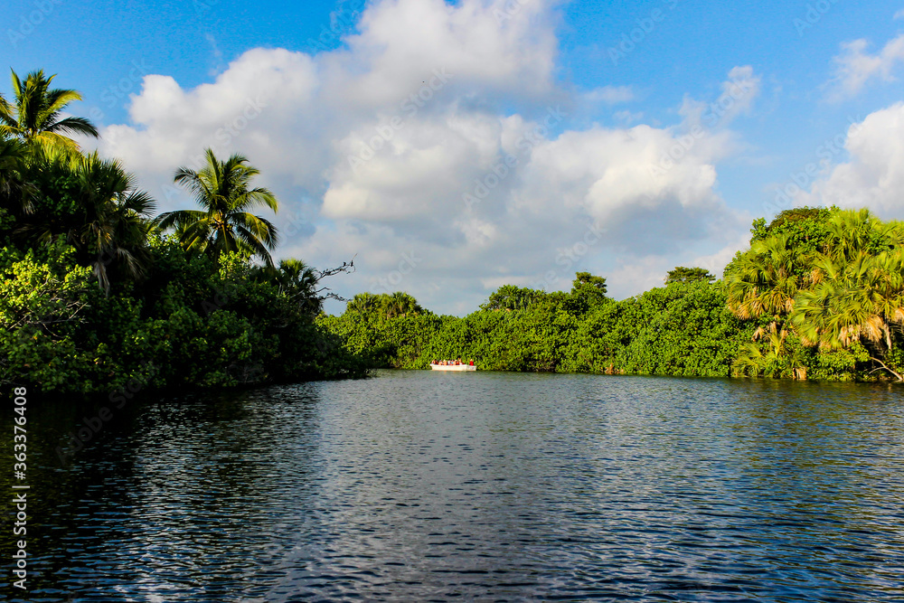 Boat crossing the lagoon of a mangrove, tourists touring a mangrove, home of crocodiles and lots of vegetation in the state of Oaxaca.