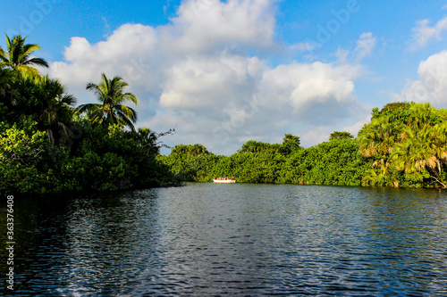 Boat crossing the lagoon of a mangrove  tourists touring a mangrove  home of crocodiles and lots of vegetation in the state of Oaxaca.