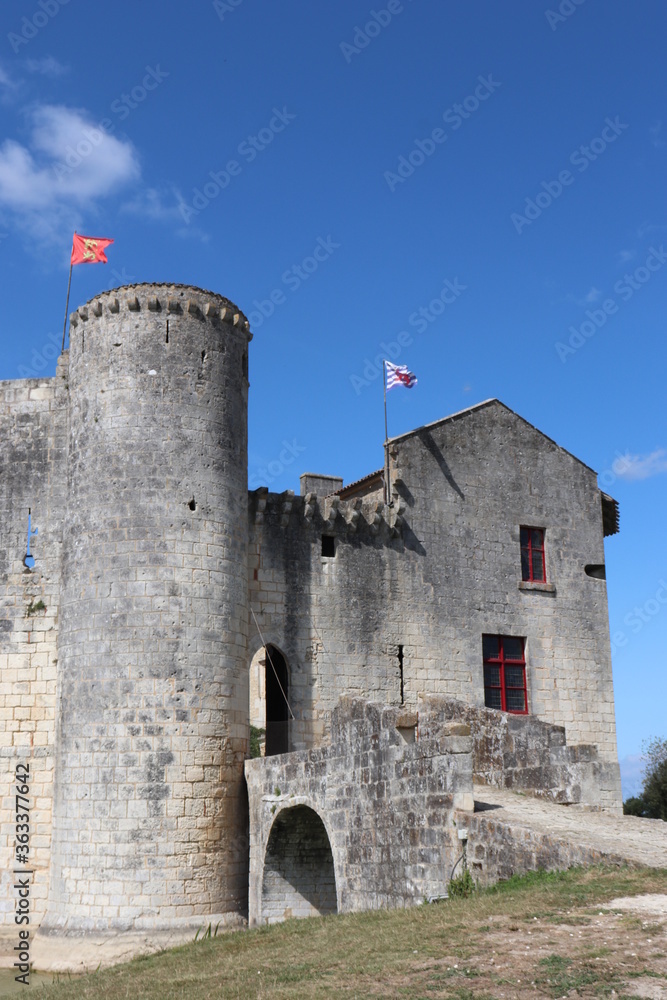 Charente-Maritime - Sint-Jean d'Angle - Entrée du Château