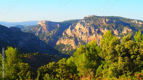 Colorful rugged mountains and pine trees with blue sky background