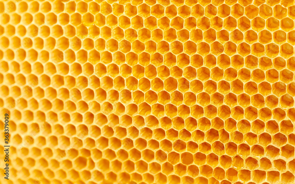 Background texture and pattern of wax honeycombs from a bee hive. selective focus.