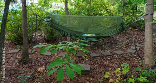 A green camping hammock with bug net used in a backyard photo