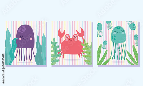 under the sea, crab jellyfishes leaves algae wide marine life landscape cartoon