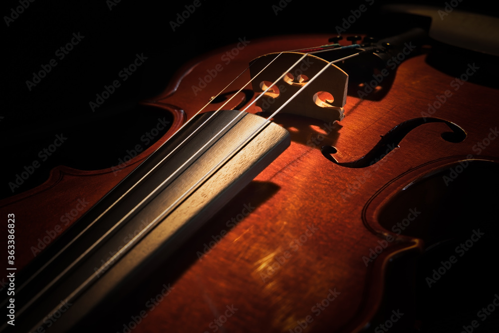 Fototapeta premium Violin 1