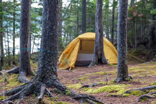 Camping in north western Maine. 