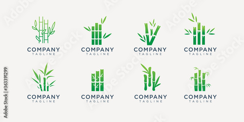 icon set bamboo logos design set template. leaf tree bambo logo inspiration.