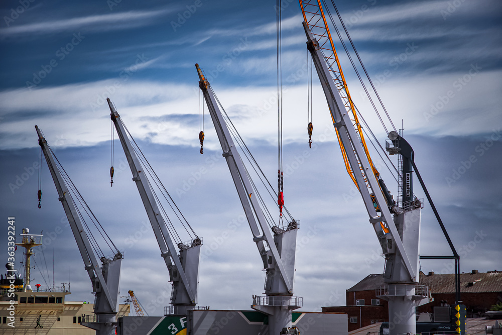 Fototapeta premium cranes in the harbor