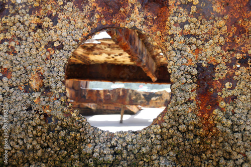 Maheno Shipwreck on Fraser Island, Queensland, Australia photo