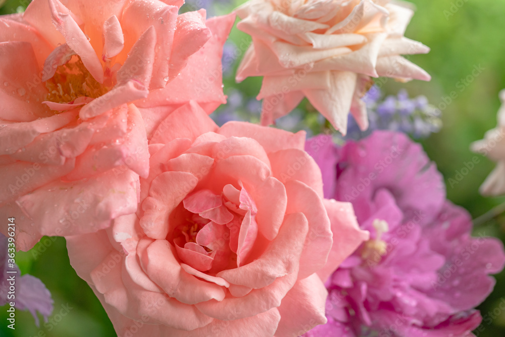 夏の花の花束/サーモンピンクのバラとムクゲ