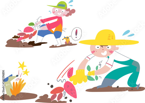 畑でさつまいも掘りをしている男の子と女性 セット イラスト 
