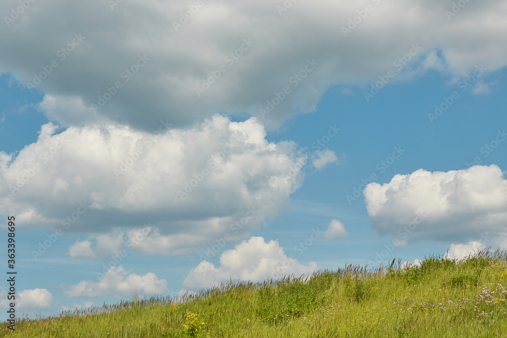 Obraz premium Landscape - green field, the blue sky and white clouds