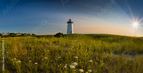 Edgartown Lighthouse and wildflowers at sunrise