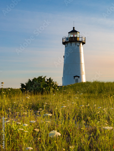 Edgartown lighthouse  Martha s Vneyard  surrounded by wildflowers in summer