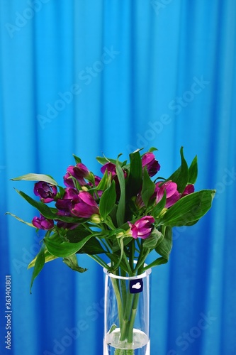 bouquet of flowers
