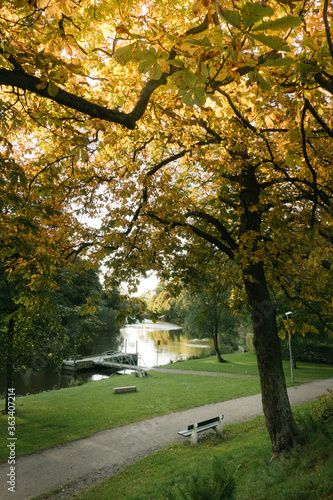 walk path in a park close to a stream of water during early autumn