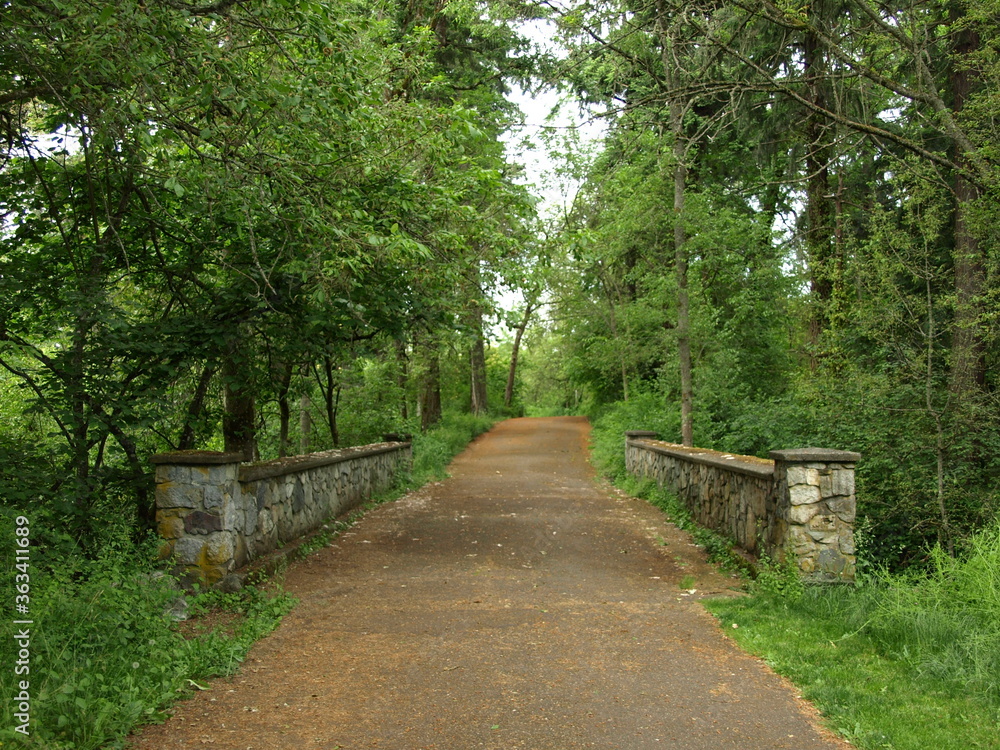 Peaceful bridge