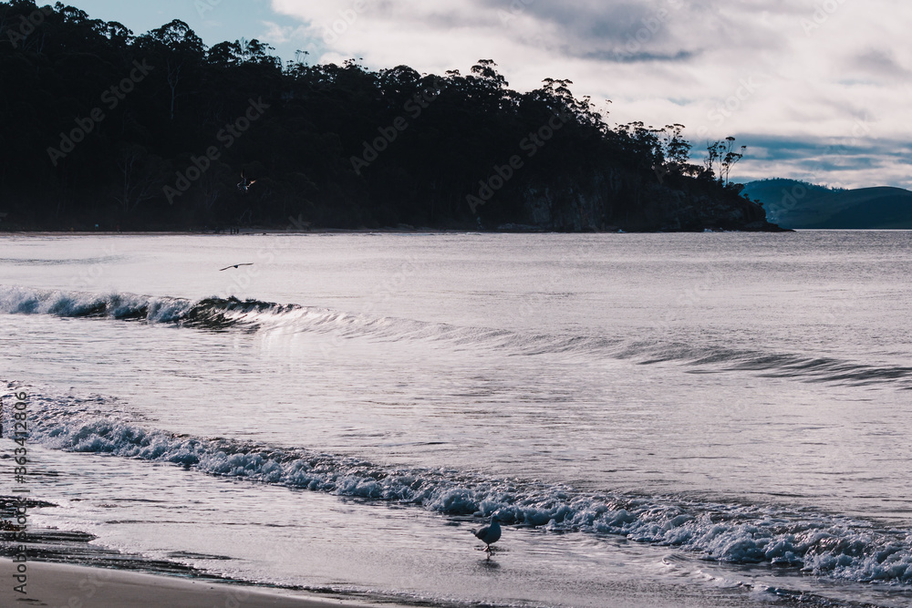 beautiful Tasmanian beach landscape with cloudy sky beautiful Tasmanian beach landscape with cloudy sky
