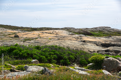 landscape with rocks