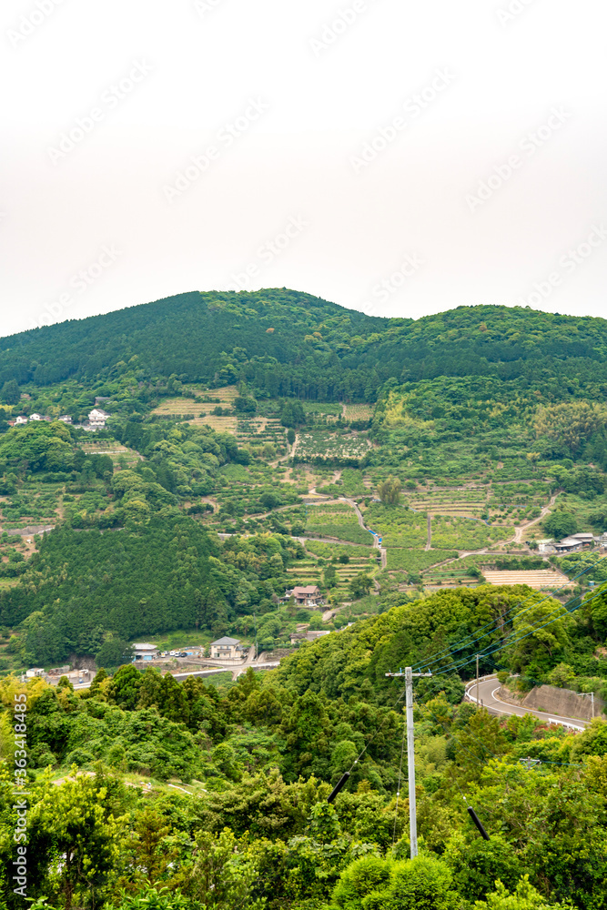 山頂付近まで続く日本の農村風景　長崎県西彼杵郡長与町本川内