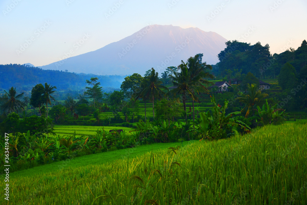 mountain landscape in the morning, East Bali.