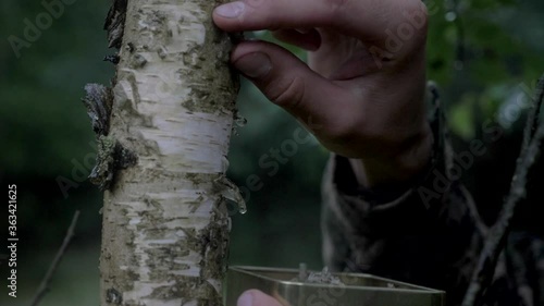 Male collecting birch bark for primitive fire, Static Close-up photo