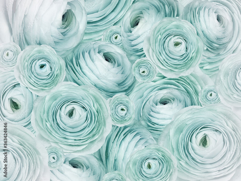 Floral turquoise background. A bouquet of  roses  flowers.  Close-up.  Flower composition. Nature.