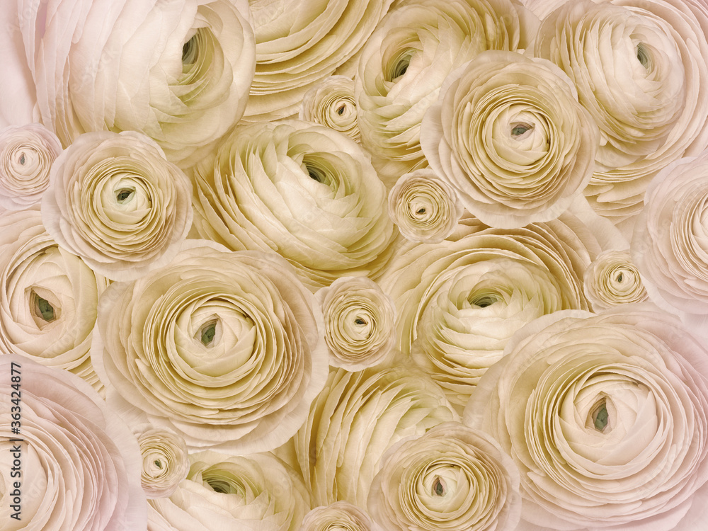 Floral yellow background. A bouquet of roses flowers. Close-up. Flower composition. Nature. Floral yellow background. A bouquet of roses flowers. Close-up. Flower composition. Nature.