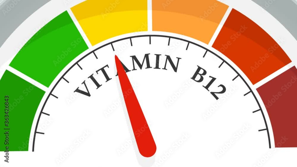 Gradient scale. Vitamin b 12 level measuring device. Sign tachometer, speedometer, indicators