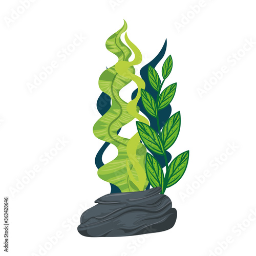 underwater seaweed, aquatic marine algae plant vector illustration design