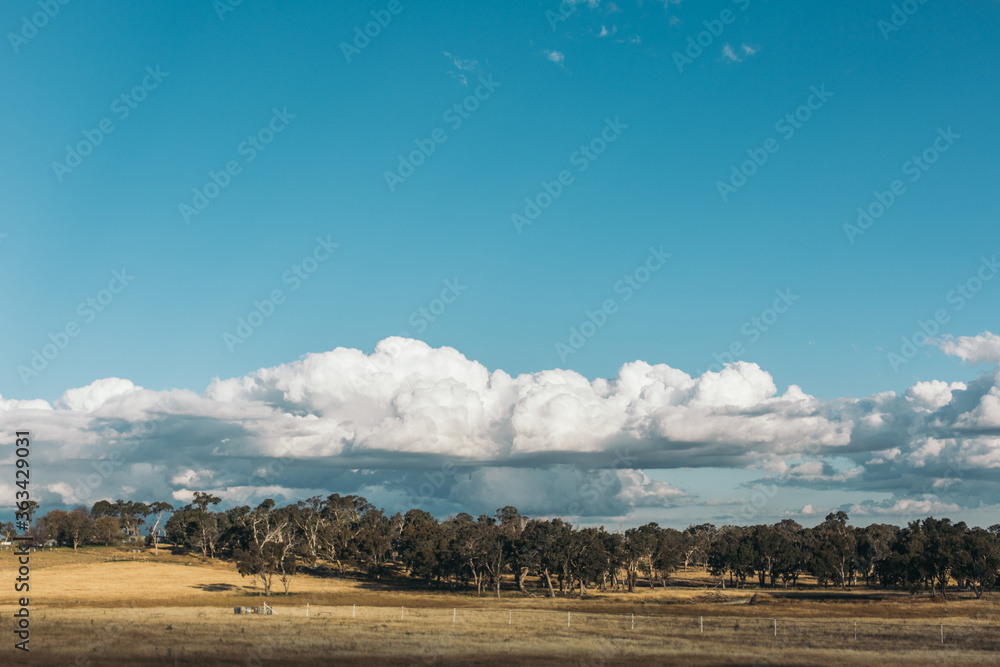 Obraz premium landscape with clouds and sky in the farm, winter in Australia