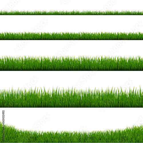 Green Grass Frame Set And Isolated White Background With Gradient Mesh, Vector Illustration
