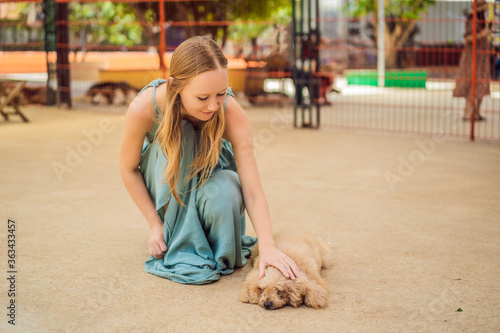 Young woman stroking a cute fluffy dog