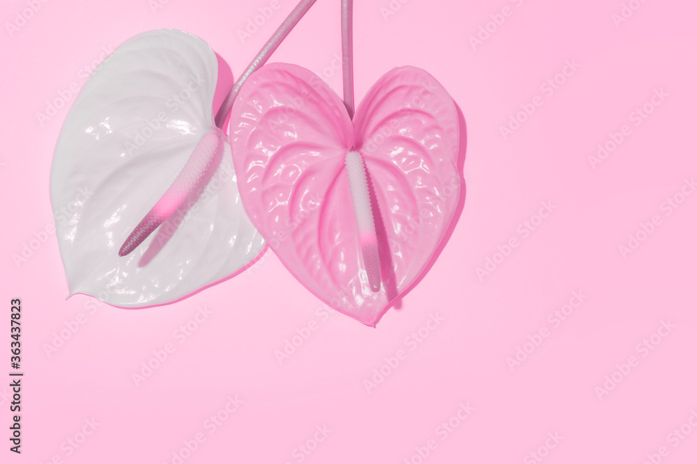 Pink flower in the shape of a heart on a pink background.