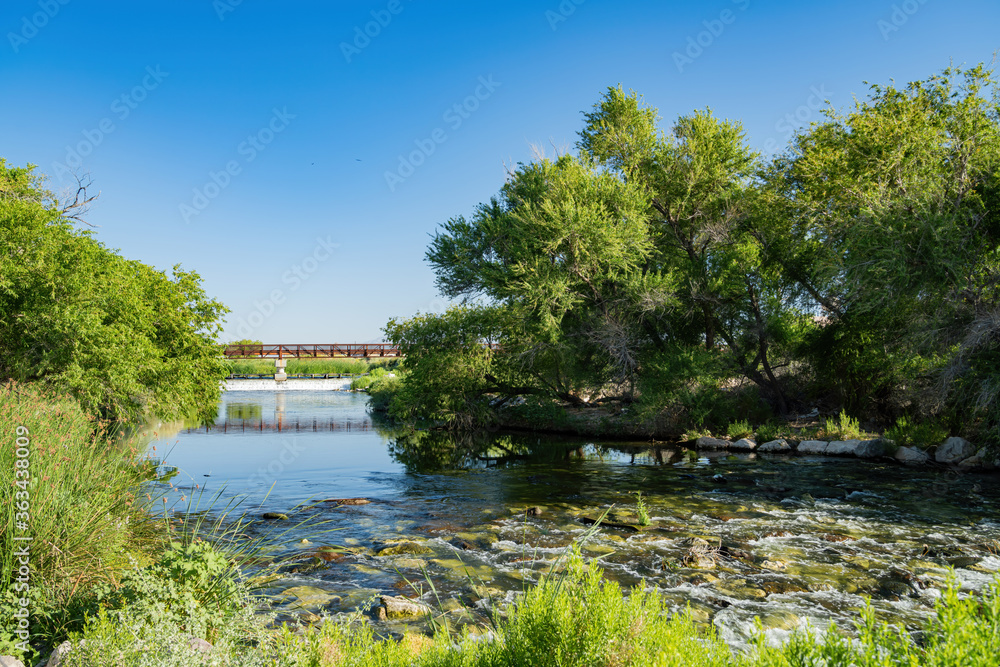 Sunny view of the natural landscape of Clark County Wetlands Park