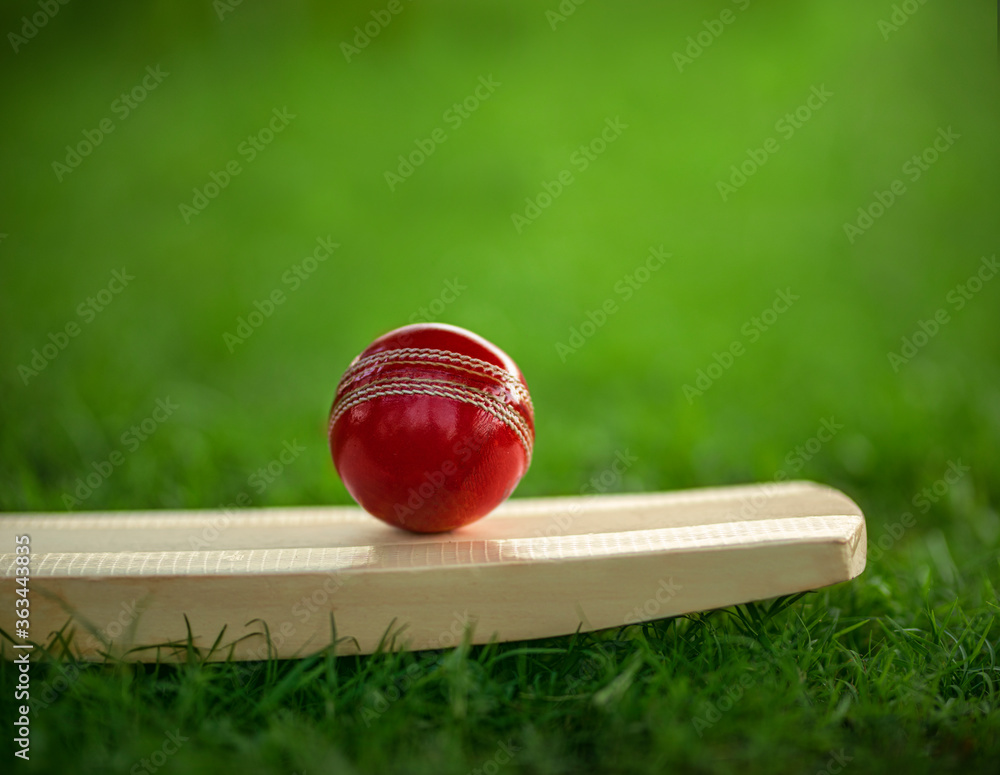 leather Cricket ball resting on a cricket bat placed on green grass