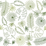 pattern of tropical leaves with a green outline on a white background, color vector illustration, texture, print, background, design, decoration
